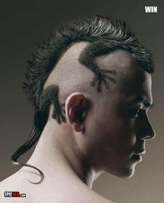 Scene: creativity Win / Hairstyle Fail