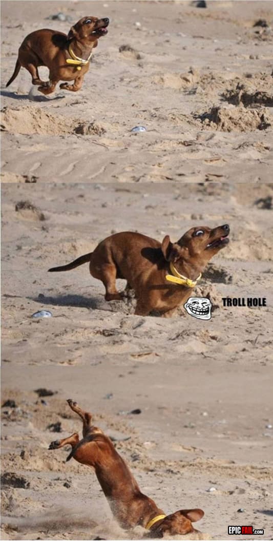 Clip: dog Fail