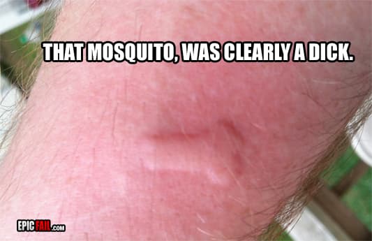 Moment: epic Mosquito Bite Fail