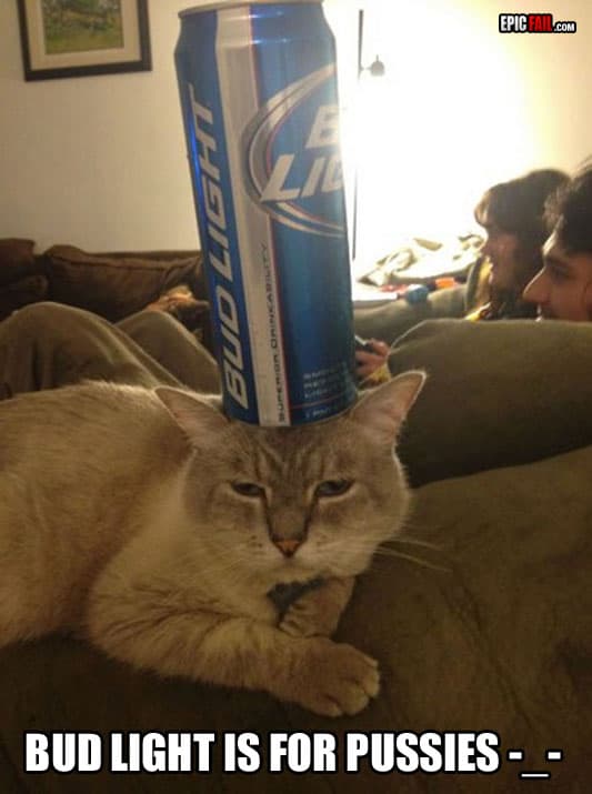 Clip: cat Win