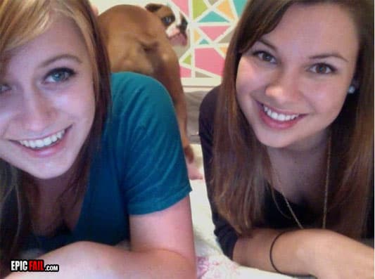 Clip: dog Photobomb Win