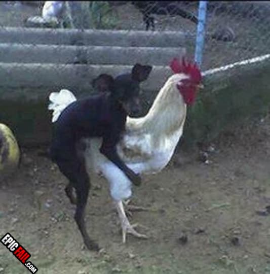 Moment: classic – Mating Fail