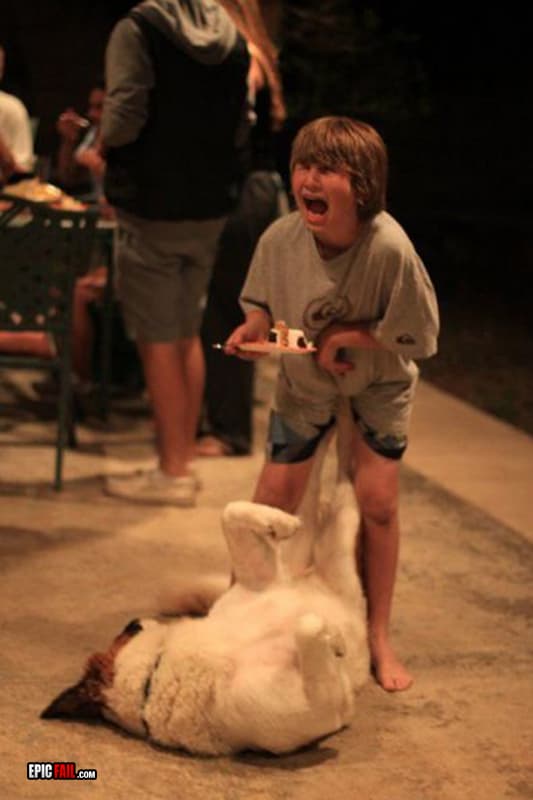Moment: eating Fail / Dog Win