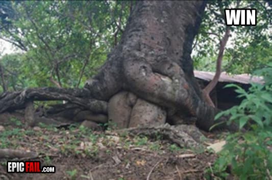 Moment: dirty Mind Win