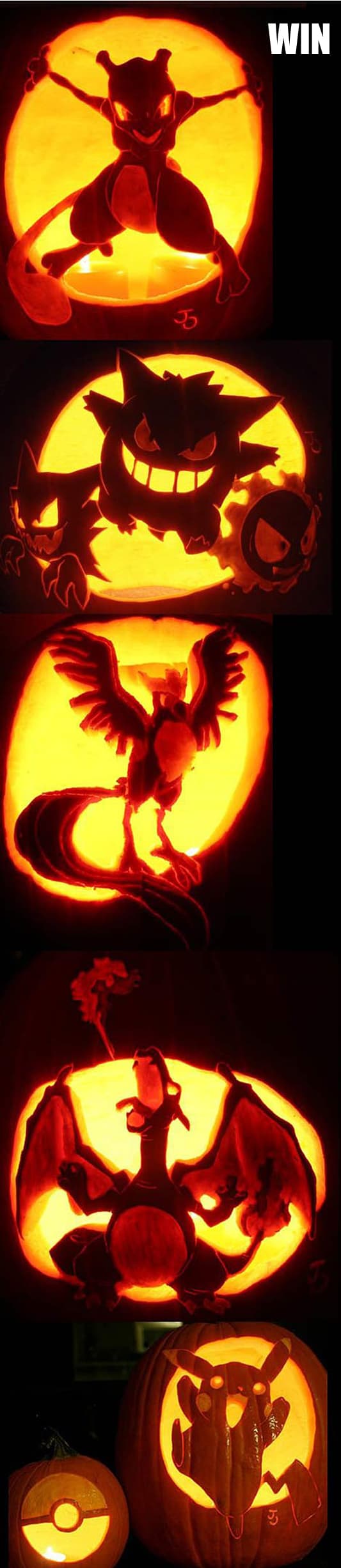 Clip: pokemon Pumpkin Designs Win