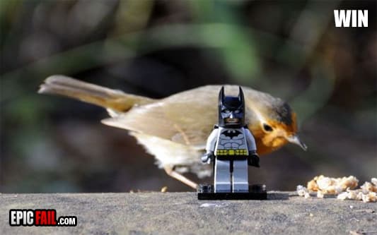 Scene: batman and Robin Win