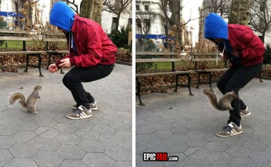 Watch: dude Fail / About to Get Rabies Win