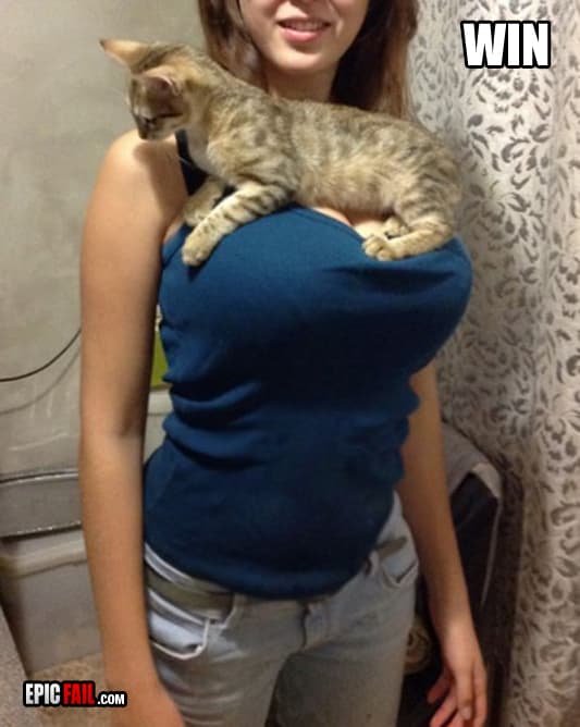 Scene: epic Boobs Win