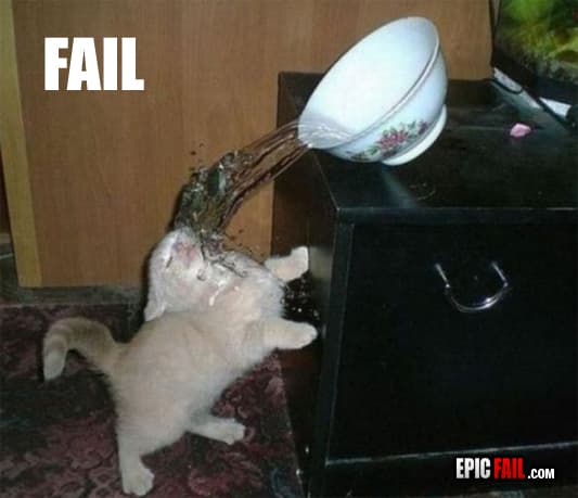 Moment: cat Fail