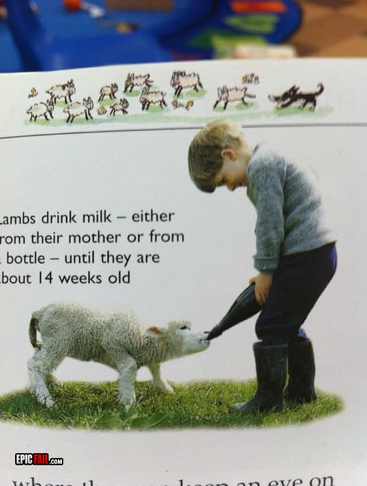 Clip: children's Book Fail