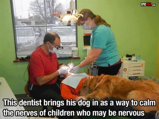 Moment: dentist & Dog Win