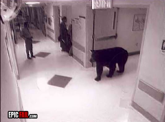 Caught on camera: about To Fail