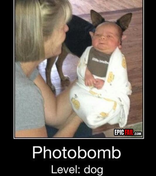 Scene: baby Photo Fail / Dog Photobomb Win