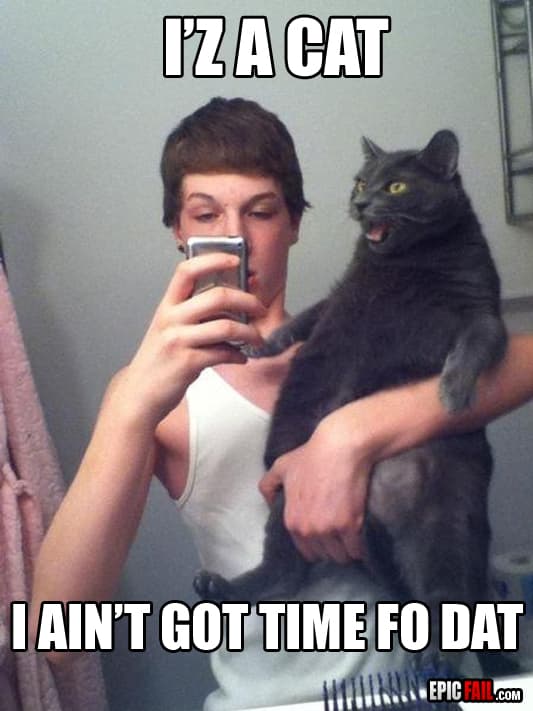 Scene: cat Expression Win