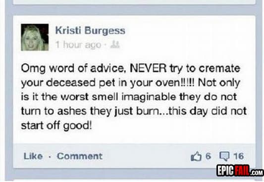 Moment: classic – Facebook Status Fail