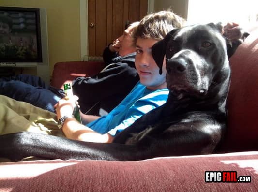 Moment: dog Expression Win