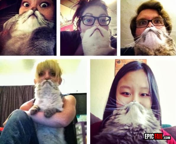 Caught on camera: cat Faces Win