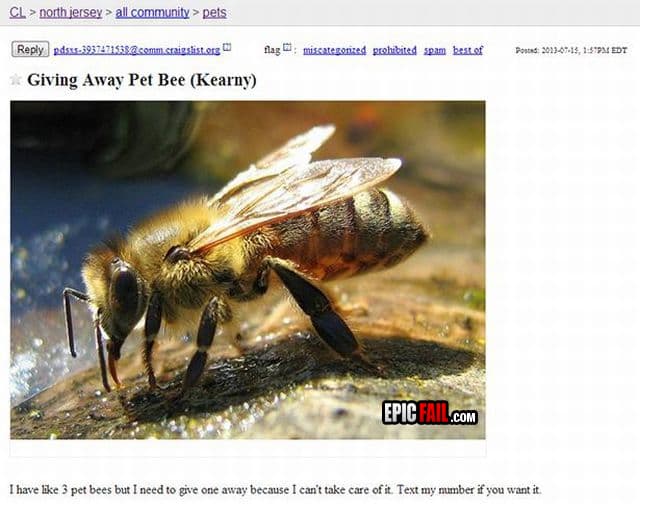 Moment: craigslist FAIL