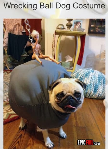 Clip: miley Cyrus FAIL / Wrecking Ball Dog Costume WIN