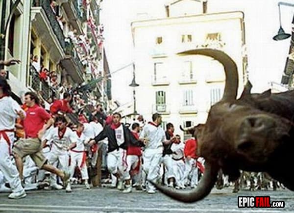 Caught on camera: bull Photobomb WIN