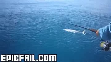 Clip: catch FAIL