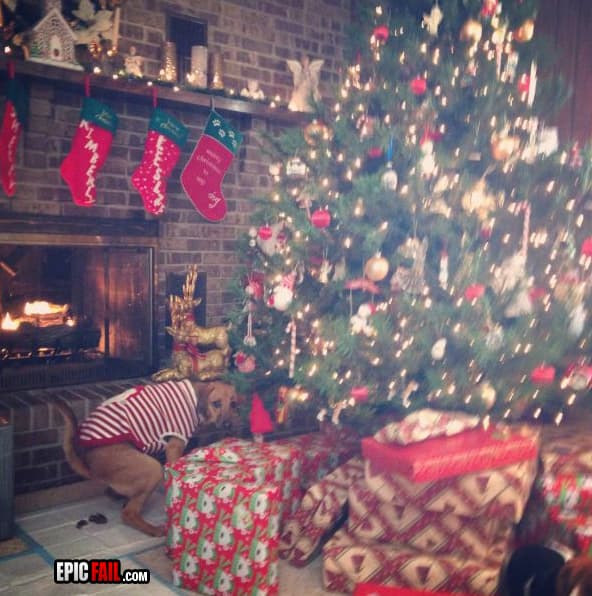 Caught on camera: christmas Photo FAIL