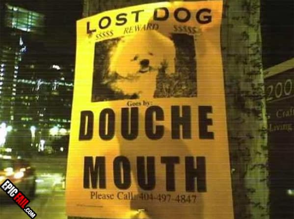 Caught on camera: lost Dog Owner FAIL