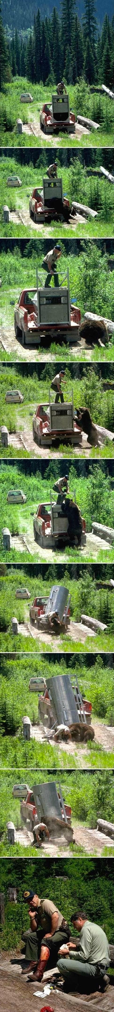 Watch: bear Control FAIL
