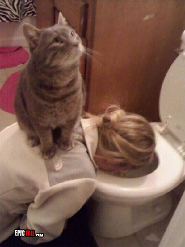 Watch: sympathetic Cat FAIL