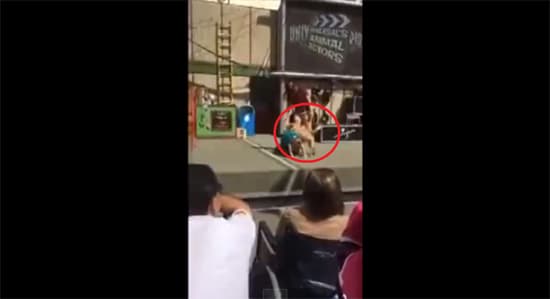 Moment: the Worst Trick EVER At A Dog Show (FAIL!)