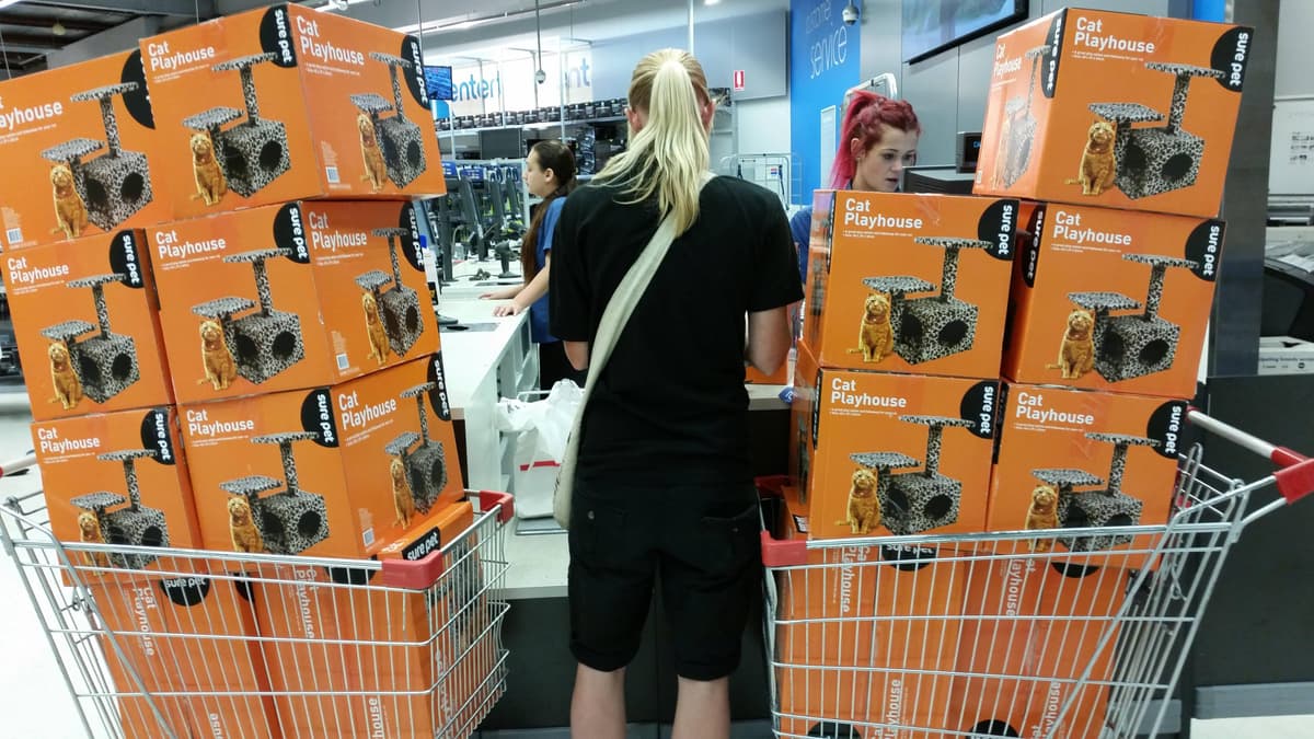 Crazy Cat Lady Level: CLINICAL — fail moment