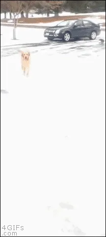 You Tried — fail moment