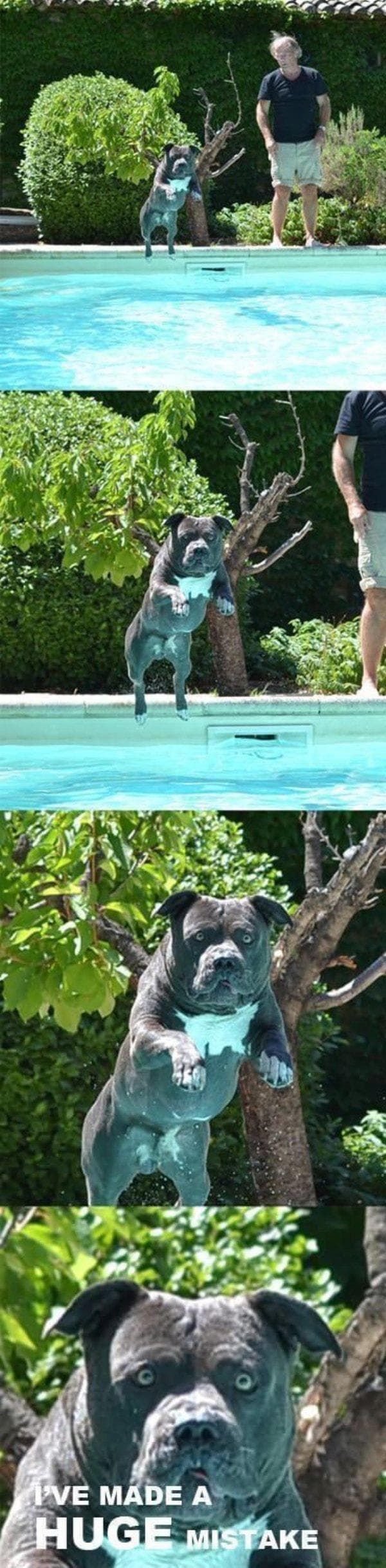 CANNONBAAAA β shit. β fail moment