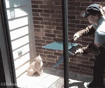 The Cat Whisperer — fail moment