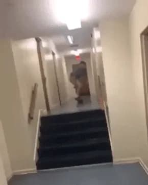 2ND YEAR PHYSICS STUDENT β fail moment