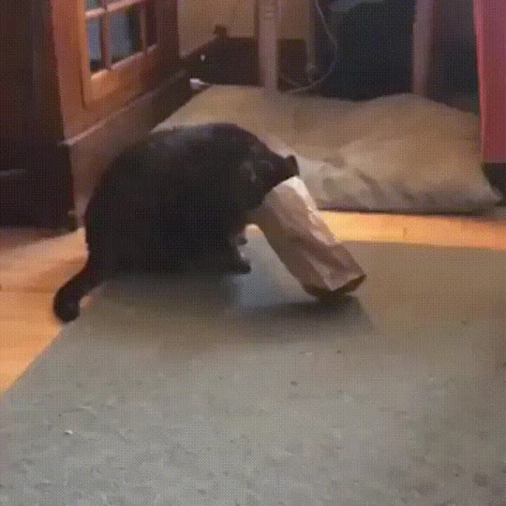NOPE NOPE NOPE Nope nope nopeeeeeeeee — fail moment